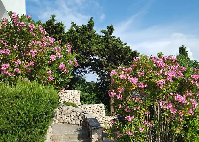 Kricin 1 Apartment *