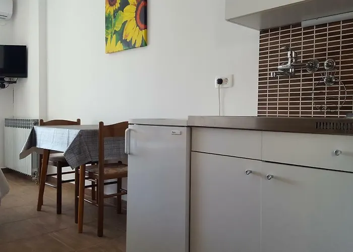 Kricin 1 公寓 巴斯卡